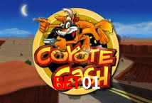 A Experiência Imersiva dos Cassinos Ao Vivo no bet01