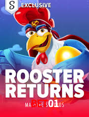 Descubra o Mundo do Cassino Online com bet01